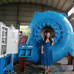 1 МВт Francis турбинный микро-гидрогенератор для водяных электростанций - Product Image 1