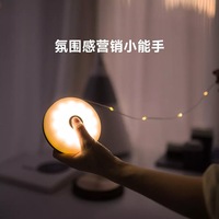 Guirlande lumineuse LED pour camping avec design breveté Lampe de camping à chargement USB étanche en blanc rouge vert bleu