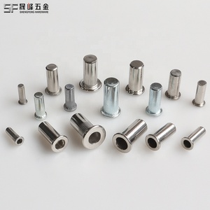 Hạt đinh tán đinh tán bằng khí nén đánh bóng 10 #-32 1/4 '-20 5/16'-18 3/8 "-16 Đầu phẳng ren chèn hạt đinh tán hạt đinh tán mù dài - Product Image 3