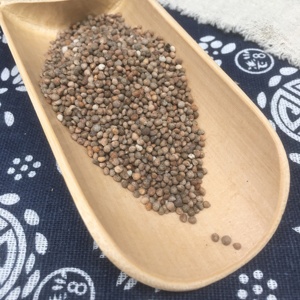 Hạt cỏ xạ hương Trung Quốc Zisuzi bán buôn số lượng lớn, giá rẻ, cung cấp số lượng lớn, 100% tự nhiên nguyên chất - Product Image 5