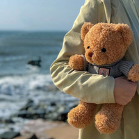 Boneka Beruang Teddy Sweater Lembut 25cm, Boneka Beruang Berpakaian, Hadiah Mesin Arcade Pusat Perbelanjaan, Penjualan Langsung, Barang Berkualitas