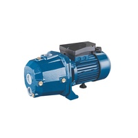 Pompe à eau électrique OEM JET Booster haute pression auto-amorçante avec turbine en laiton et bobine 100% cuivre pour traitement de l'eau potable 1