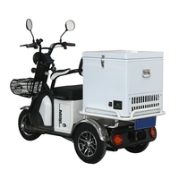 Tricycle à moteur pour crème glacée à bas prix avec boîte réfrigérée et mini-réfrigérateur-congélateur