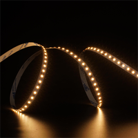 Éclairage de décoration intérieure, bande lumineuse LED DC12V/24V, CCT modulable, 120 LED/m, 8 mm, flexible, à intensité variable