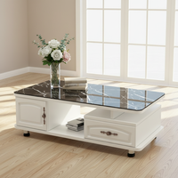 Table basse de salon avec panneau décoratif pour petites maisons, luxe moderne, nouveau mobilier 2025, acier inoxydable, marbre
