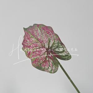 Taro Leaf <b>Artificial</b> Flower Single <b>Stem</b> High Simulation Silk Plant Wedding Home Decoration Outdoor Props - Product Image 4