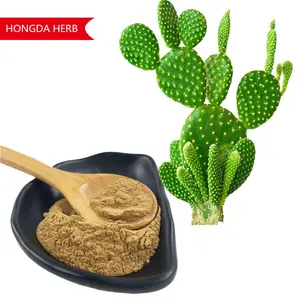 HONGA 供应天然仙人掌提取物粉末