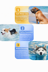 <span class=keywords><strong>Gilet</strong></span> de <span class=keywords><strong>sauvetage</strong></span> réfléchissant et imperméable pour <span class=keywords><strong>chien</strong></span>, <span class=keywords><strong>gilet</strong></span> de flottabilité réglable avec poignée de <span class=keywords><strong>sauvetage</strong></span>, maillot de bain de sécurité pour animaux de compagnie - Product Image 3