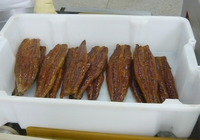 Buon prezzo Kabayaki Unagi arrosto filetto di anguilla per Sushi o cucina giapponese disponibile in stili congelati