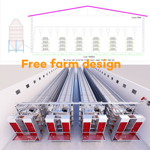 Cage à poulets automatique à 4 niveaux pour 50 000 poules pondeuses, cage à batterie galvanisée pour élevage avicole, à vendre <span class=keywords><strong>en</strong></span> Ouganda - Product Image 6