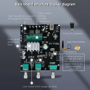 Módulo Amplificador de Potencia Digital Estéreo XY-T100L de 100W, Placa de Audio 5.0 con Preamplificador y Ajuste de Graves y Agudos - Product Image 4