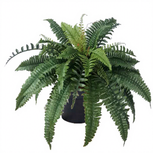 Hojas de Helecho Artificiales Ecológicas al por Mayor de Fábrica China, Tipo Árbol de Plástico y Tela, Altura Personalizada para Decoración de Interiores - Product Image 1