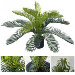 ต้นไซคาสประดิษฐ์ระดับพรีเมียม - ต้นสาโกจำลองสุดหรูสำหรับการตกแต่งร้านค้าระดับไฮเอนด์และการตกแต่งภายใน | |   เป็นมิตรกับสิ่งแวดล้อม - Product Image 6