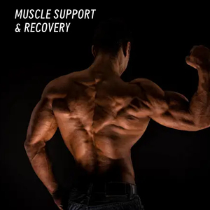 Propre marque de suppléments de créatine pour le sport avec monohydrate de créatine pour la santé des adultes et la force musculaire boisson en poudre - Product Image 6