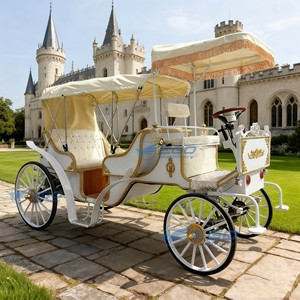 รถม้าไฟฟ้าแบบสองแถวสำหรับงานแต่งงานและท่องเที่ยว รุ่นซินเดอเรลล่า ฟังก์ชั่นคู่ ขายดีที่สุดประจำปี 2026 - Product Image 3