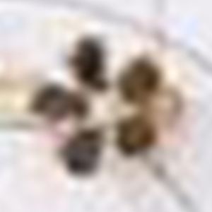 Clip-On Style Tz Ear Clip <b>Flower</b> Diamond <b>Single</b> Pack Fashion Clip On Earrings - Product Image 4