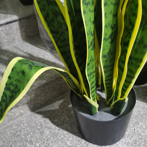 <span class=keywords><strong>Vendita</strong></span> calda all'aperto pianta di serpente <span class=keywords><strong>Bonsai</strong></span> verde fogliame artificiale <span class=keywords><strong>Bonsai</strong></span> per la decorazione domestica materiale plastico durevole - Product Image 3