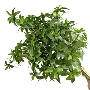 Haute Qualité Real Touch Artificielle Japonaise Andromède Plante Latex 70cm 6 Branches <span class=keywords><strong>Japonica</strong></span> Tige pour La Maison Décorations De Mariage - Product Image 5