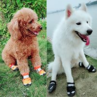 Penjualan langsung pabrik sepatu hewan peliharaan hangat tahan air kaki anjing Musim Dingin sepatu anjing Zapatos para mascotas de venta de fabica
