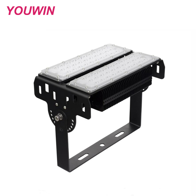 YOUWIN Tunnel Wholesale High Quality Waterproof Good Heat Dissipation Aluminum Led Floodlight 100w For Tunnel