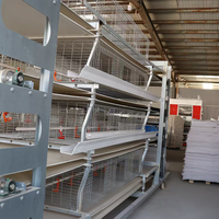 Nouvelle cage à poulets de chair LINCHUAN de type H en acier galvanisé à chaud, 128 poulets, 4 niveaux, 4 portes, haute résistance à la corrosion, longue durée de vie