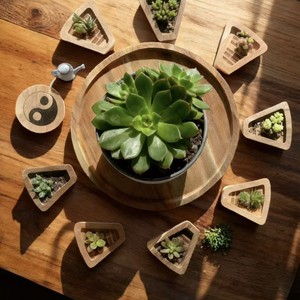 Plateau de service rond en bois, plateau de rangement multifonctionnel pour présentation de thé, desserts, pâtisseries, couleur unie, 30x30x2.5cm - Product Image 1