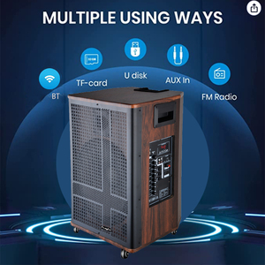 Altavoz con Ruedas <span class=keywords><strong>de</strong></span> Madera <span class=keywords><strong>de</strong></span> Alta Calidad, Buen <span class=keywords><strong>Sonido</strong></span> <span class=keywords><strong>y</strong></span> Gran Potencia, TWS, DC 12V/12A, Recargable, Audio para Exteriores con Micrófono - Product Image 4