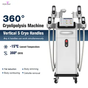Cellulite Reduction Weight Loss Coolsculption Fat Freezing Machine Criolipolisis Machine New Cryolipolysis Machine