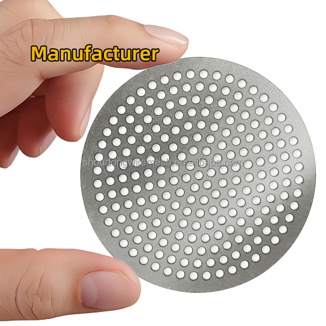 Custom 304 316 Stainless Steel Filter Round Square Filter Disc Perforated Metal Sheet Plate Perforated Filter Mesh