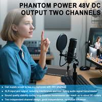 M2-2 48V Phantom Power Condenser Microphone 2-in-2-out Cardioïde Polar Pattern XLR Connector Metal for Choir Conference Speech