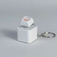 Mini porte-clés sonore enregistrable et rechargeable, boîte vocale à pression pour redire, jouet mécanique anti-stress, cadeau créatif pour amis