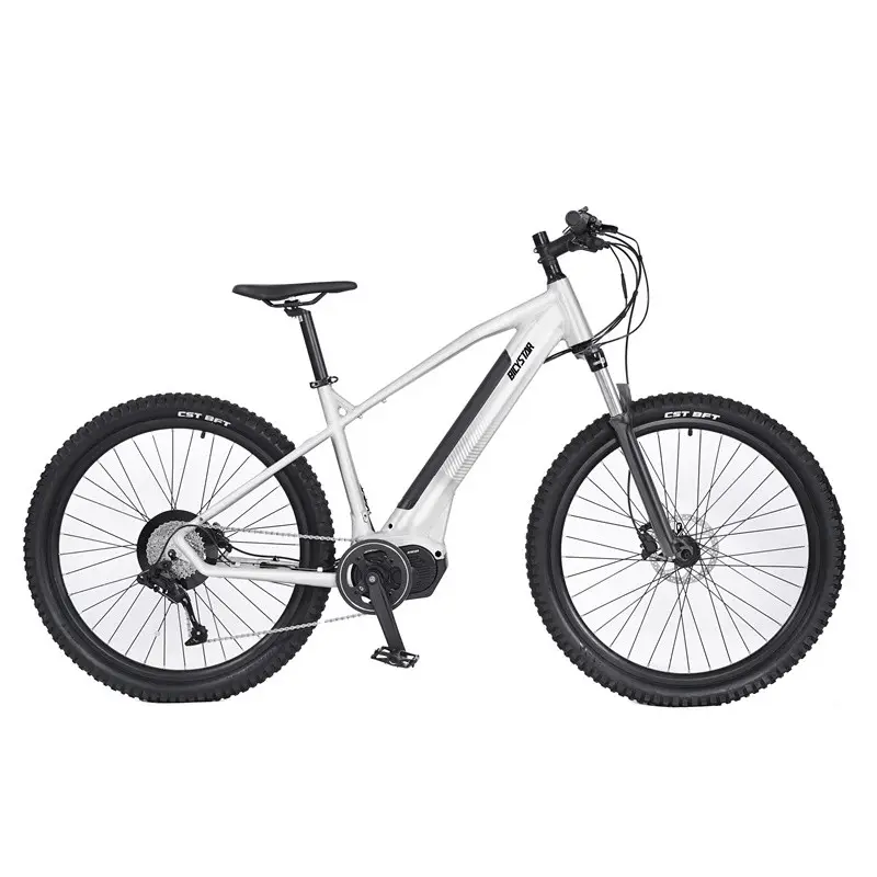 Ucuz elektrikli bisiklet 250w ucuz elektrikli bisiklet düşük fiyat; ucuz elektrikli bisiklet dahili pil, ucuz elektrikli bisiklet