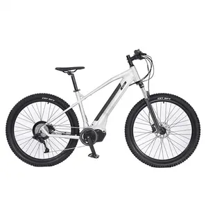 廉价电动自行车 250 瓦廉价电动自行车低价格; 廉价电动自行车与内部电池; 便宜的电动自行车