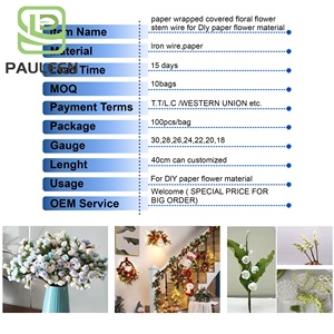 <span class=keywords><strong>Alambre</strong></span> de floristería, <span class=keywords><strong>alambre</strong></span> de tallo Floral pintado, <span class=keywords><strong>manualidades</strong></span> decorativas DIY, <span class=keywords><strong>alambre</strong></span> Floral verde oscuro <span class=keywords><strong>para</strong></span> arreglos florales - Product Image 2