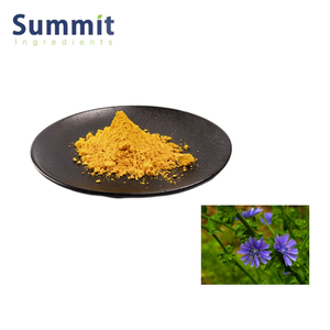 Чистый Травяной Растительный Экстракт обычного цикория/4: 1 ~ 20: 1 экстракт корня суккори/экстракт корня эндайвинга - Product Image 5