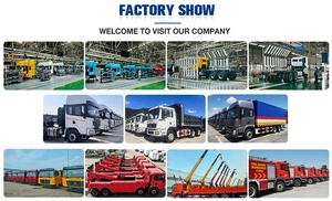 Grúa de Rescate para Carreteras M3000, Puente Único, Un Remolque y Una Grúa de Arrastre, Camión de Remolque de 16 Toneladas, Alta Capacidad, Emisión Euro 2 - Product Image 6