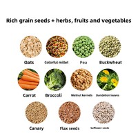 Granulés de fruits et légumes pour perroquets, pilules nutritives et de conditionnement, sans coquille, pour perruches, Xuanfeng, Petits Pigeons, nourriture protéinée pour oiseaux