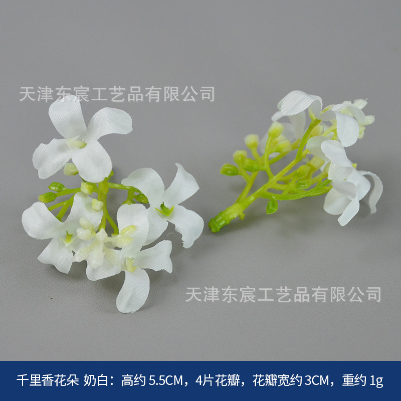 Fragrant flowers, milky white