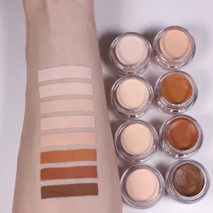 OEM Professional multiple size concealer private label palette vegan full coverage concealer cream concealer palette