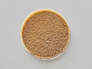 Migliorare la resa delle colture micorriza batterio biologico Bio-fertilizzante Mucilaginosus biofertilizzante - Product Image 3