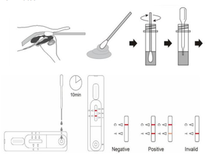 Hot Selling Veterinair Instrument Hond Parvovirus Antigeen Detectie Kit Snelle En Nauwkeurige <span class=keywords><strong>Test</strong></span> Voor Honden - Product Image 4