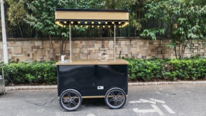 Etodevice Gelato Hot Sales <b>Trolley</b> Freezers Popsicle Ice Cream Food Truck Push Cart Gelato Ice Cream Cart With Freezer - Product Image 4