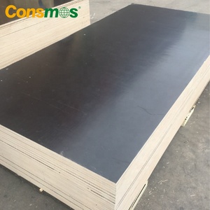 Консмос 13-слойный фенольный эвкалипт, тополь, комби, пленка, облицованная фанерной панелью, цена - Product Image 1