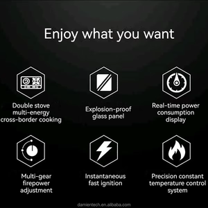 <span class=keywords><strong>Estufa</strong></span> eléctrica pura de nueva tecnología y cocina <span class=keywords><strong>infrarroja</strong></span> para productos de cocina domésticos sin instalación integrada de gas - Product Image 5