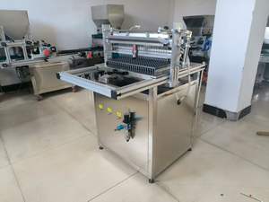 Semoir automatique pour <span class=keywords><strong>semis</strong></span> en plateau avec système d'irrigation pour carottes, laitue - Product Image 6