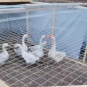 Hot-dip Galvanized <b>Wire</b> <b>Mesh</b>, Welding <b>Wire</b> <b>Mesh</b>, Used for Making Jaulas Para Gallos, Protective <b>Wire</b> <b>Mesh</b> - Product Image 3
