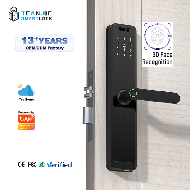 High Quality Durable Custom Wifi Intelligent Smart Lock Password Card Face Recognition Fingerprint Door Lock for Home Use