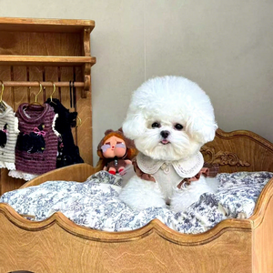 Cama Pequeña para Mascotas de Madera Tallada de Estilo Antiguo y Exquisito para Perros y Gatos - Product Image 4