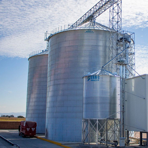 Silo à grain en acier à fond plat <span class=keywords><strong>Shelley</strong></span> Husbandry pour le riz - Product Image 2