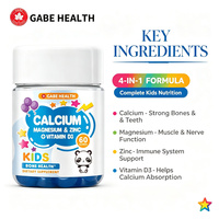 Gummies OEM Marque Privée Enfants Calcium Magnésium Zinc Vitamine D3 4-en-1 pour la Santé Osseuse, la Croissance Musculaire et le Soutien Immunitaire – 60 Unités Personnalisables